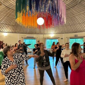 vanilda-mendonca-imersao-nas-leis-sistemicas-8