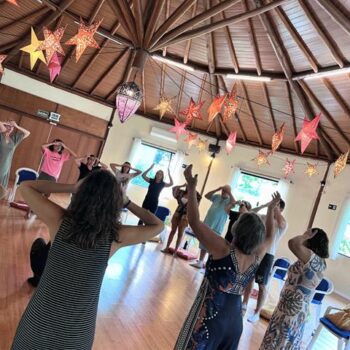 vanilda-mendonca-imersao-nas-leis-sistemicas-terceira-edicao-11