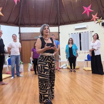 vanilda-mendonca-imersao-nas-leis-sistemicas-terceira-edicao-13